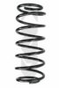 SPIDAN 49488 Coil Spring